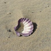 Guerrero Negro